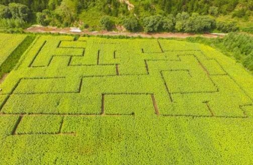 围场山水林田湖草项目扮靓美丽乡村